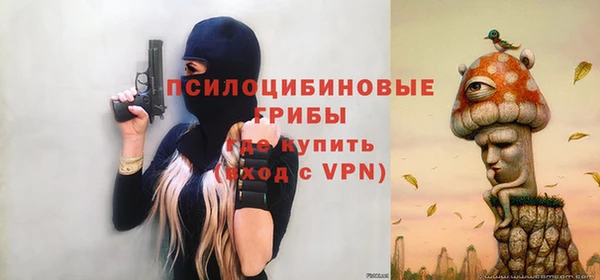бошки Заволжье