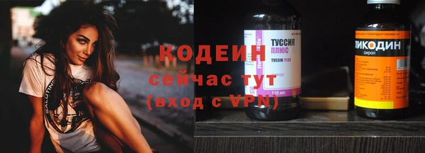 молекула духа Заводоуковск