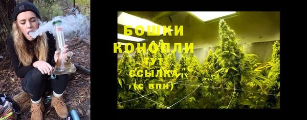 прущие крисы Заволжск