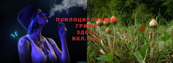 бошки Заволжье