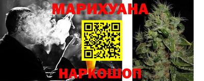 сатива Когалым