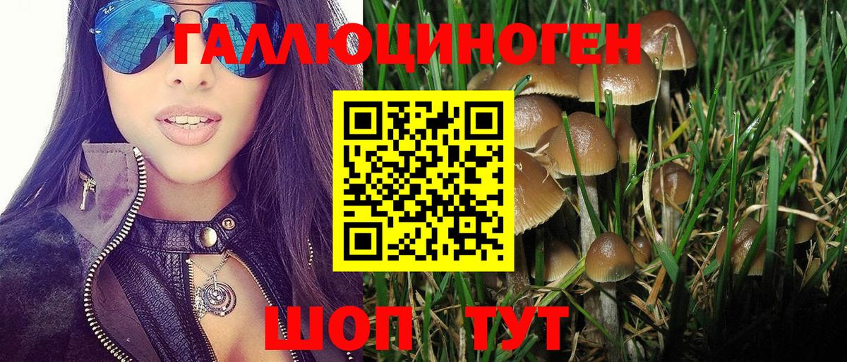 Псилоцибиновые грибы Magic Shrooms  Вход с VPN  Галлюциногенные грибы Psilocybe  где можно купить наркотик  Истра 